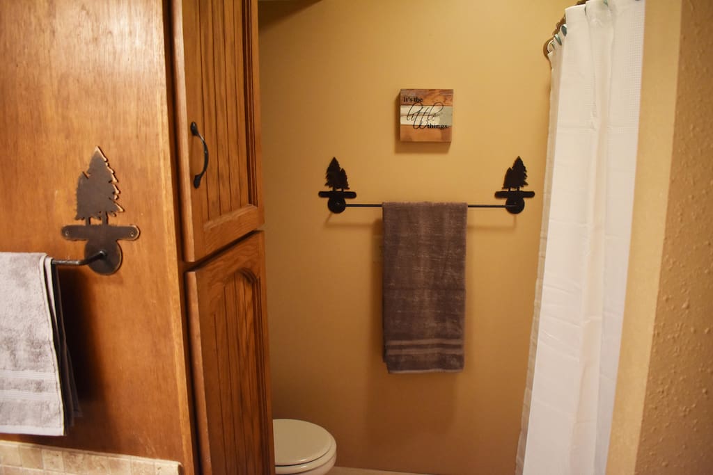 Bathroom on Main Floor