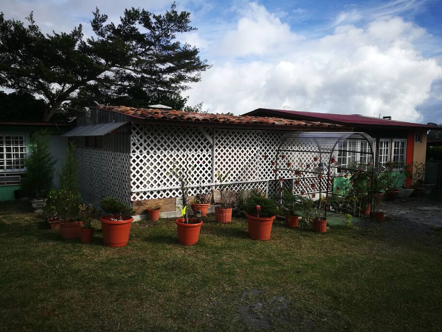 flores y espacio para caminar