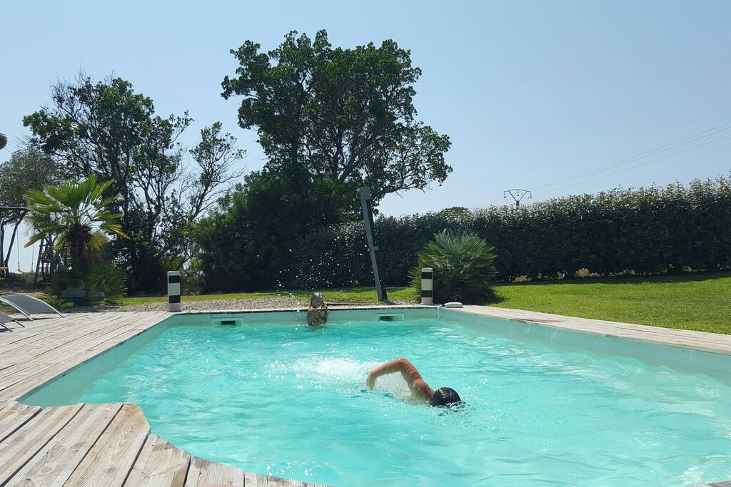 Piscine 8x4