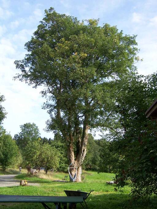 Einfahrt
