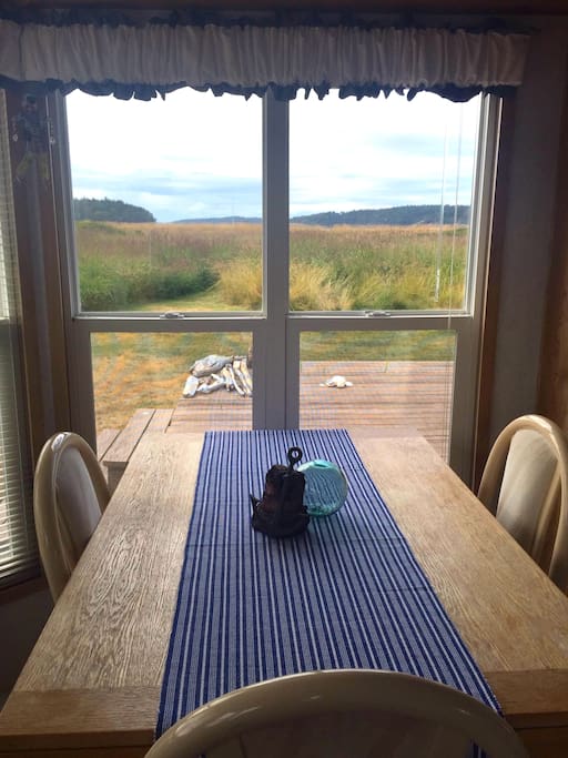 View from the kitchen table