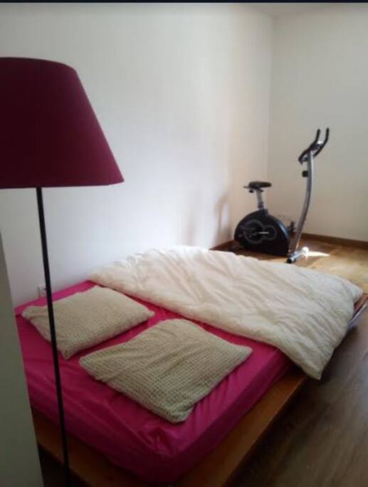 Chambre spacieuse, lit "King Size" et vélo d'appartement.