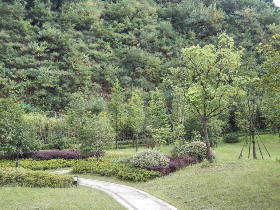 小区内景