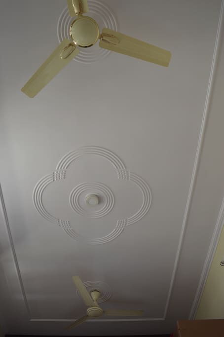 exquisite POP carvings on the ceiling