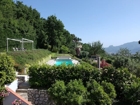 nature house - An oasis surrounded by greenery