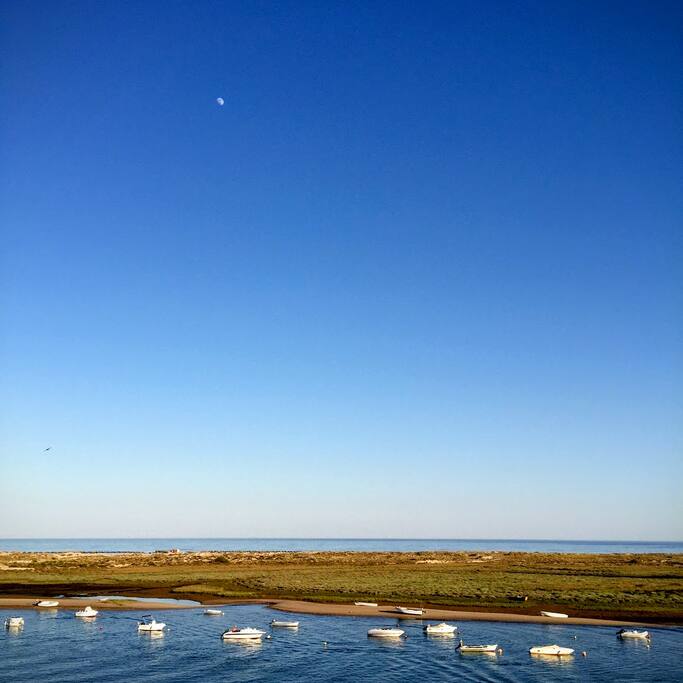 Vista