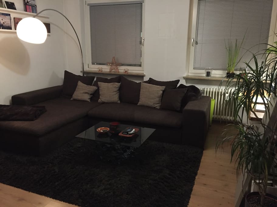 Wohnzimmer mit Couch (Schlafsofa, 2 Personen, ausziehbar)