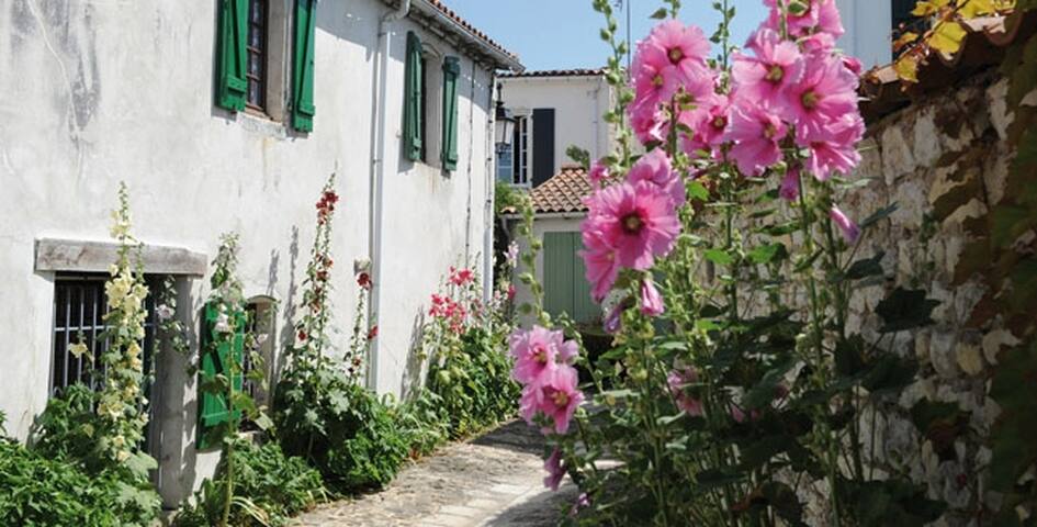 Résultat de recherche d'images pour "fleurs ile de ré"