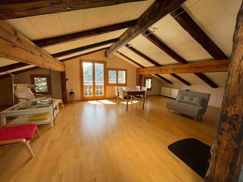 Top Airbnb: Charming apartment with a view on Grabserberg in St. Gallen