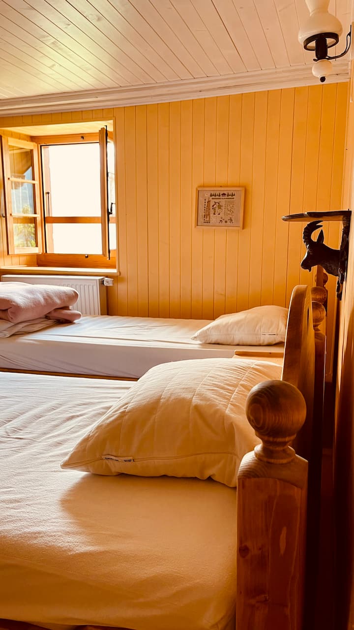 Quarto dos "pequenos demônios"

(2 camas 90x200)