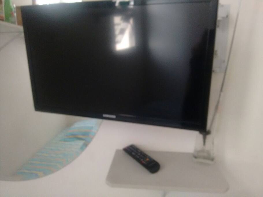 Televisão