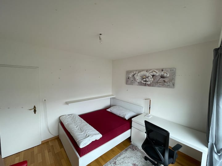 PetitSaconnex Holiday Rentals & Homes Geneva, Switzerland Airbnb
