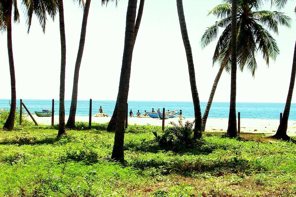 The magical private beach in front of the resort