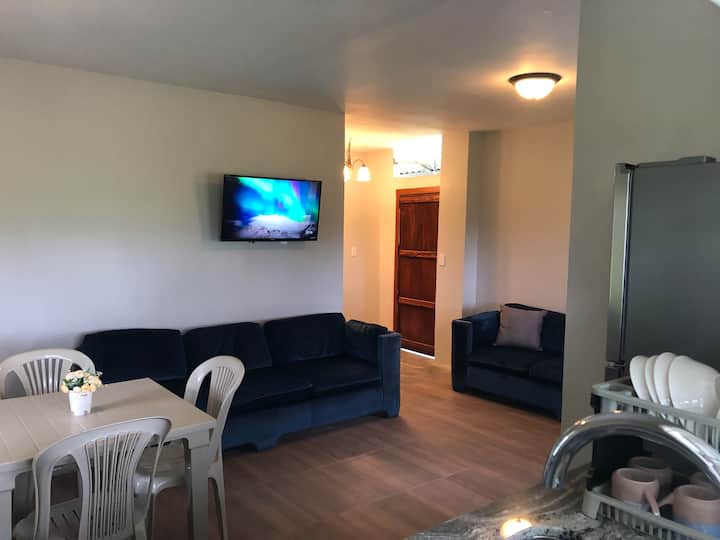 סלון עם כניסה ברקע 