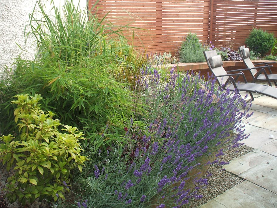 patio garden