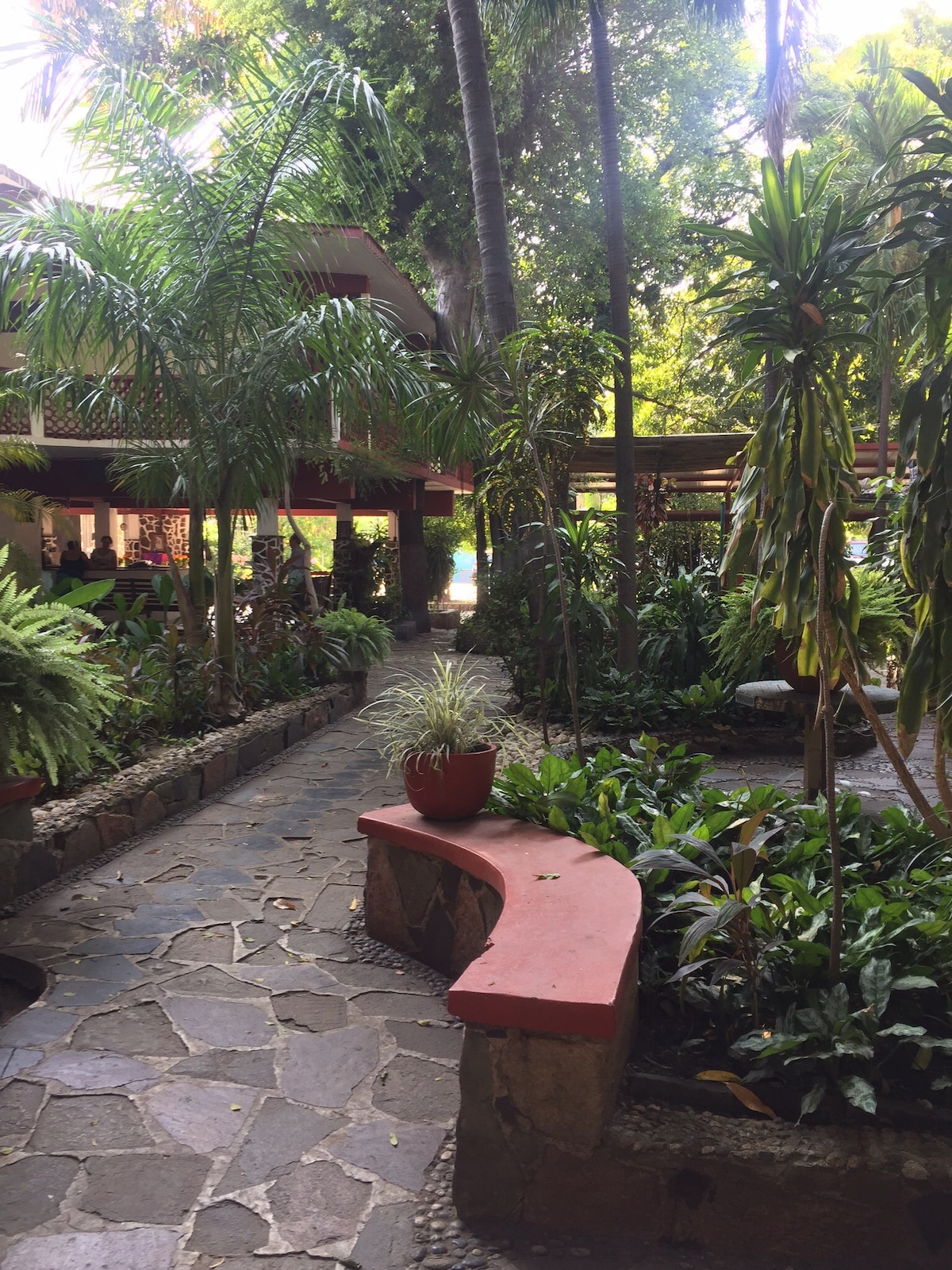 A stone pathway meanders through a lush garden, featuring various tropical plants and trees. A low, curved bench made of stone provides a seating area among the greenery, with vibrant potted plants adding color to the surroundings.