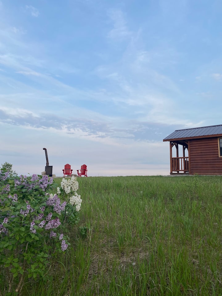 The Little Hilltop Bunkie Tiny houses for Rent in Cavan, Ontario, Canada Airbnb