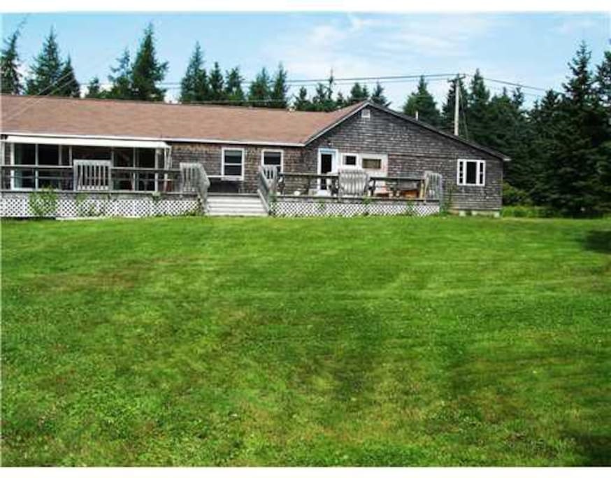 Back yard and deck
