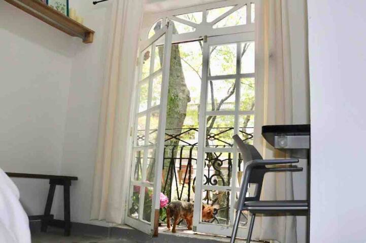 House colonia Roma gallery image 3