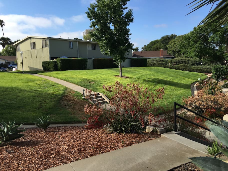 Outdoor view