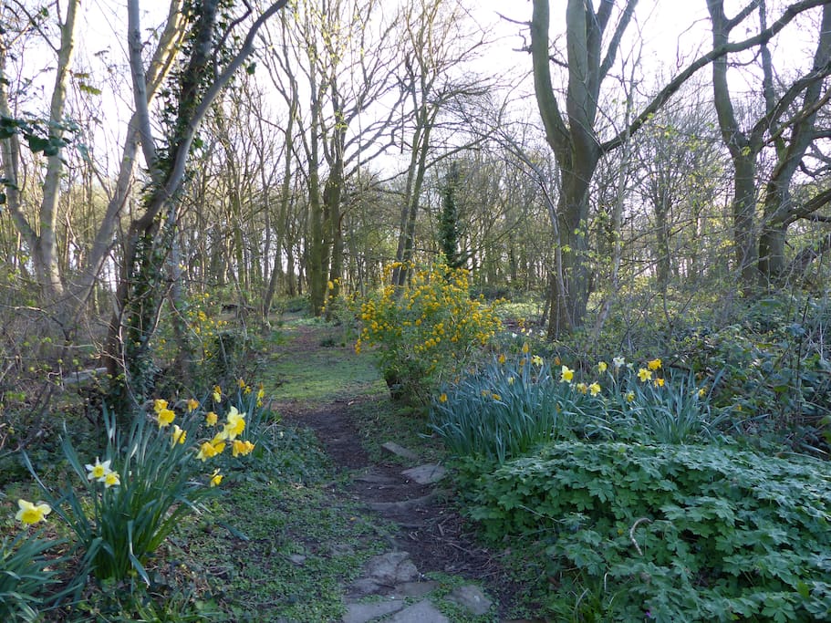 We are at the edge of a most peaceful woodland which is yours to share by just walking out through our back garden gate.