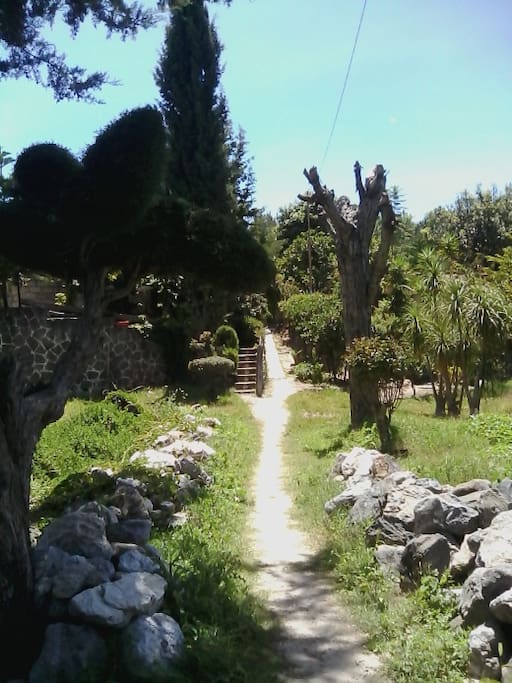Vista del terreno al entrar