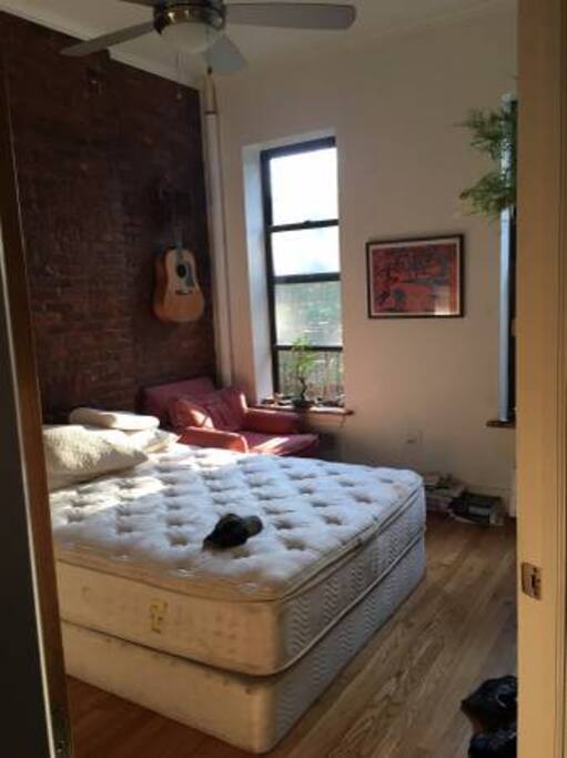 High Ceilings with Fan