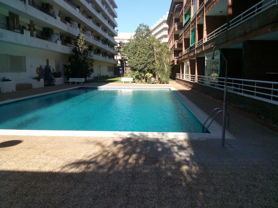 Jardín y gran piscina.