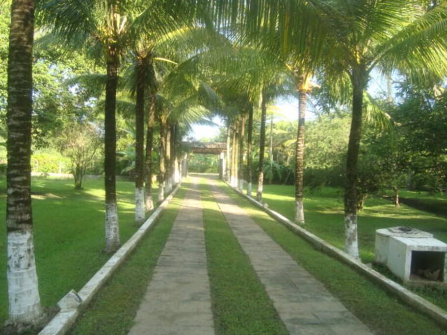 Caminho