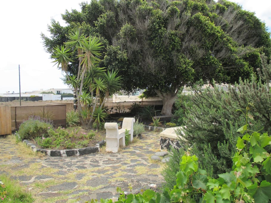 jardin