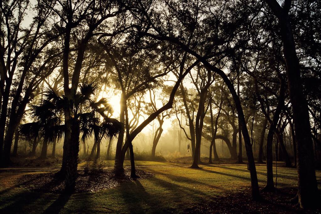 Morning sunrise