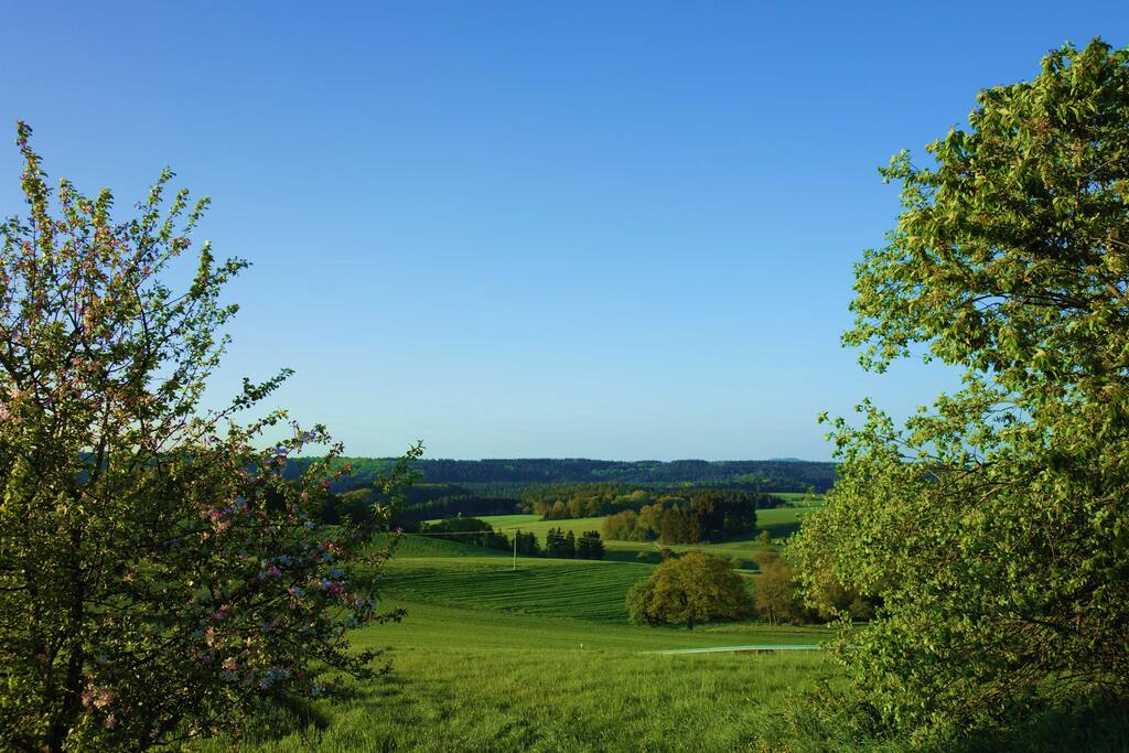 Weitsicht