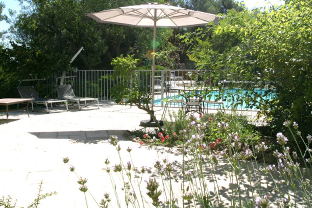 Piscine, Solarium.