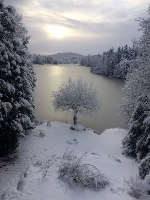 Vue l'hiver