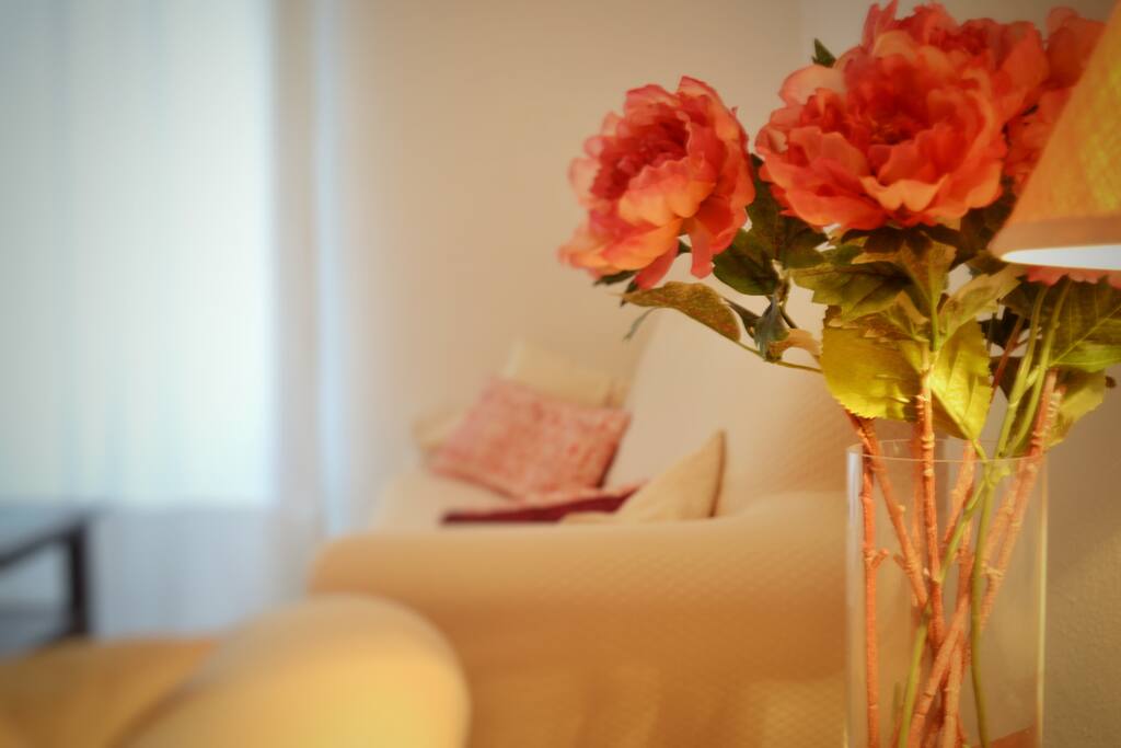 SOFAS SALON