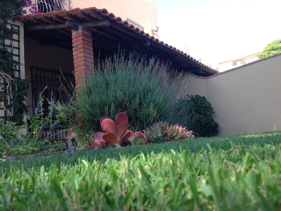 il prato del giardino, fresco e soffice;