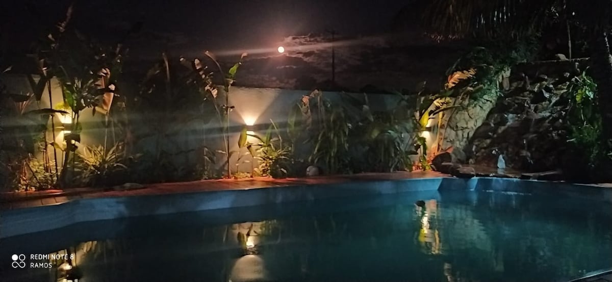 A serene nighttime view of a pool is framed by lush greenery and softly illuminated by landscape lights. The moonlight reflects on the water's surface, creating a calming ambiance, while shadows cast by the surrounding plants add depth to the tranquil scene.