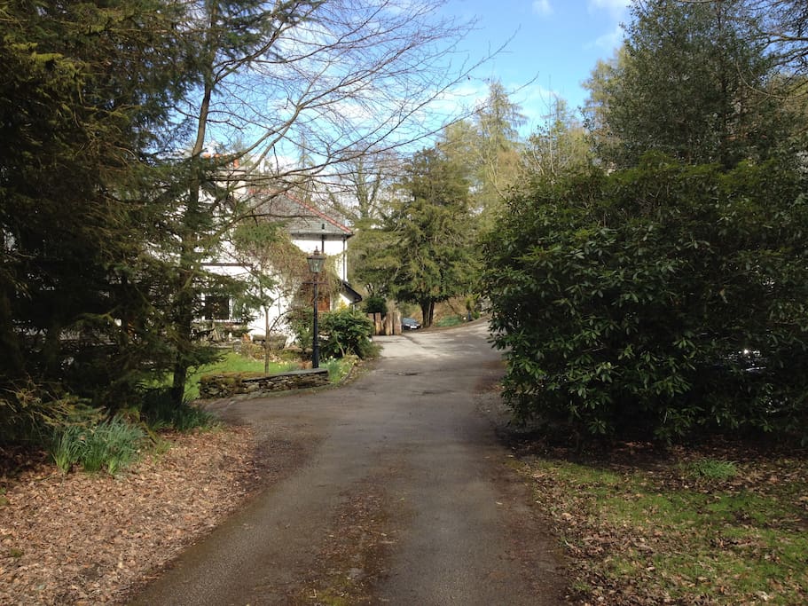 Drive leading towards Pinethwaite Lodge.