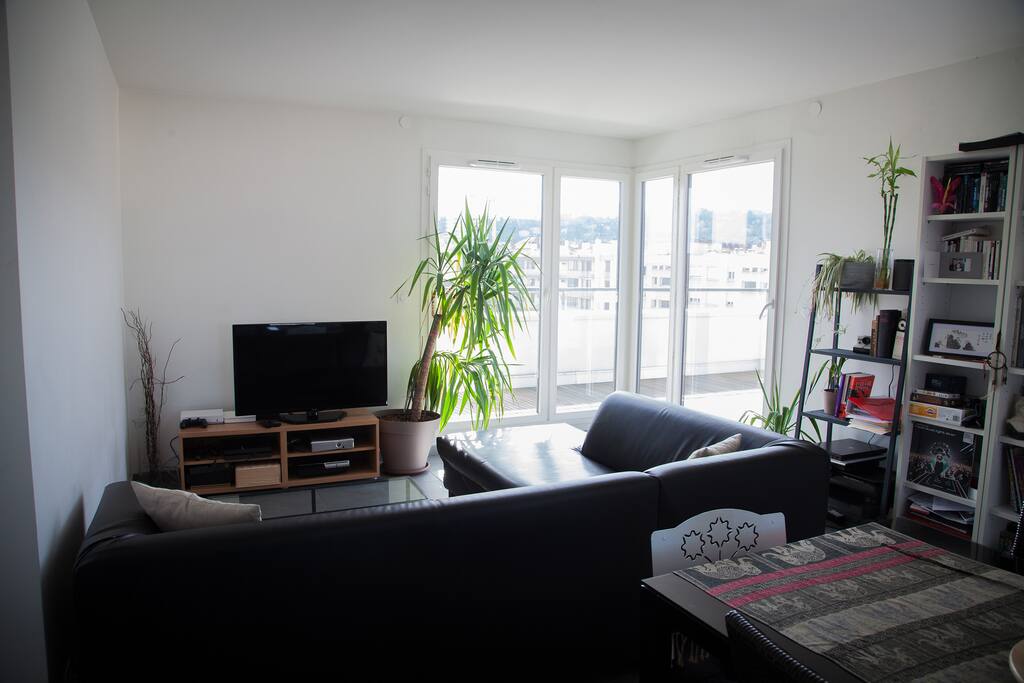 Salon - Living Room
