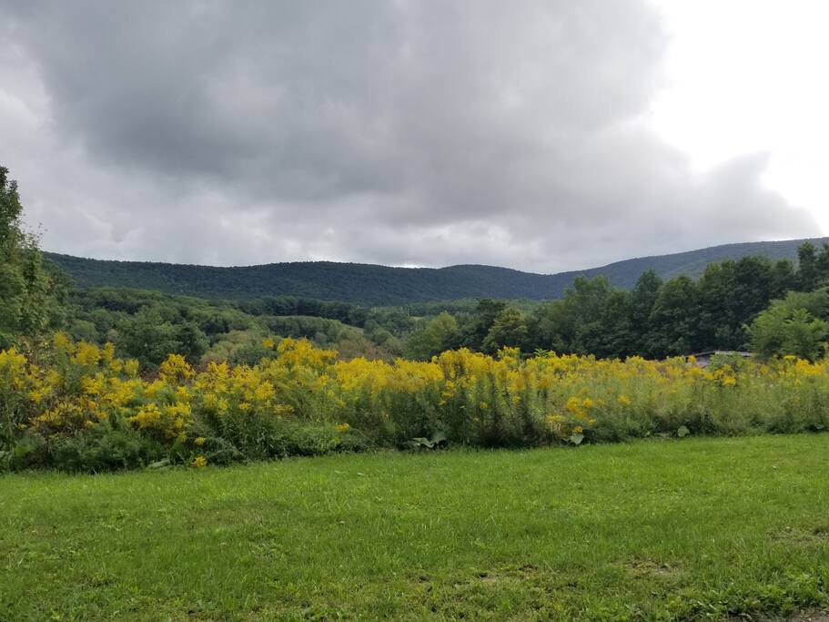 late summer view