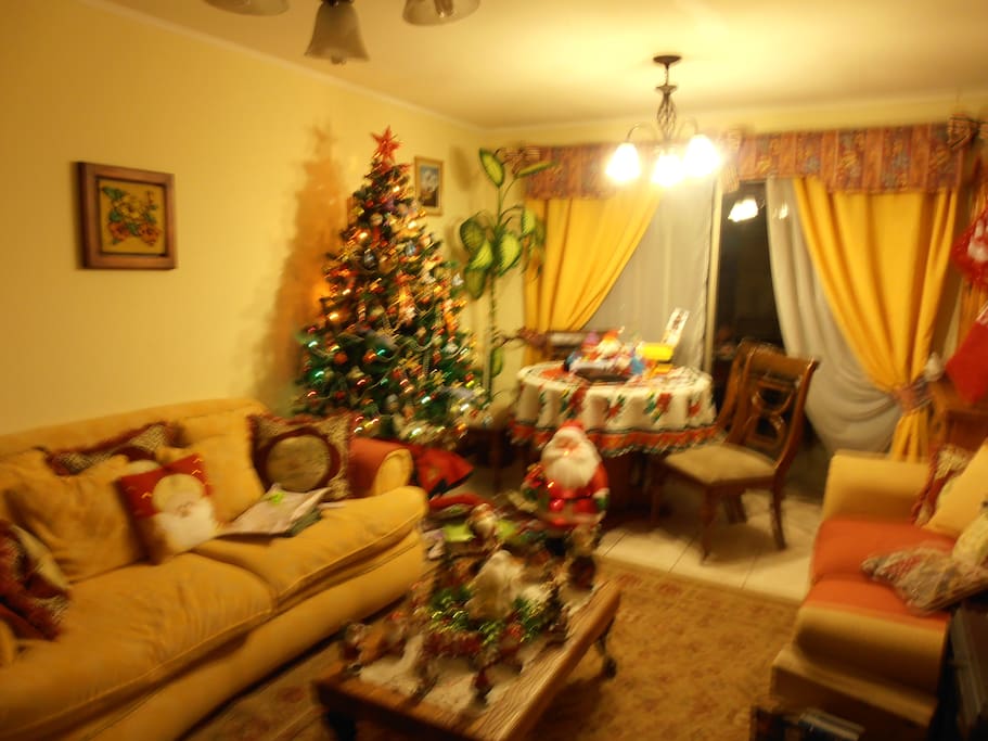 Living de la casa, livingroom