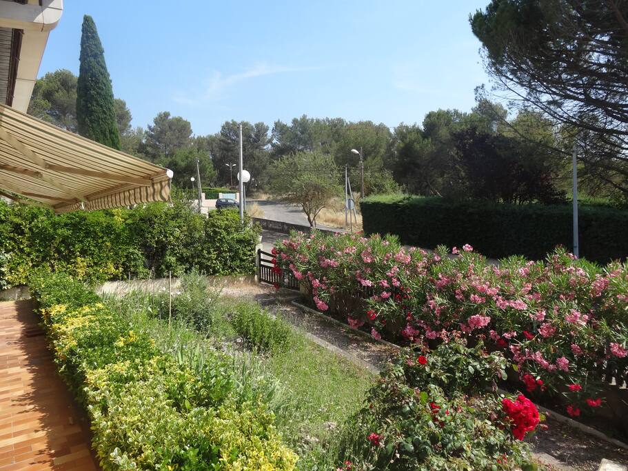 La colline est là