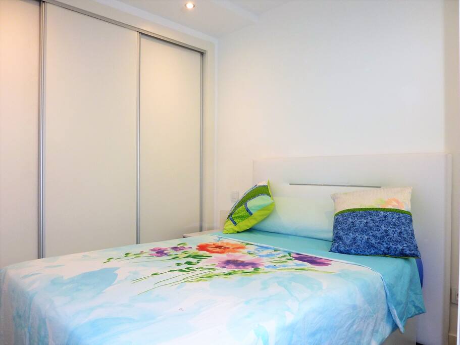 Built-in Wardrobe in the guest room