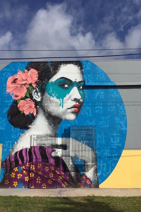 Show full-screen, host-provided image