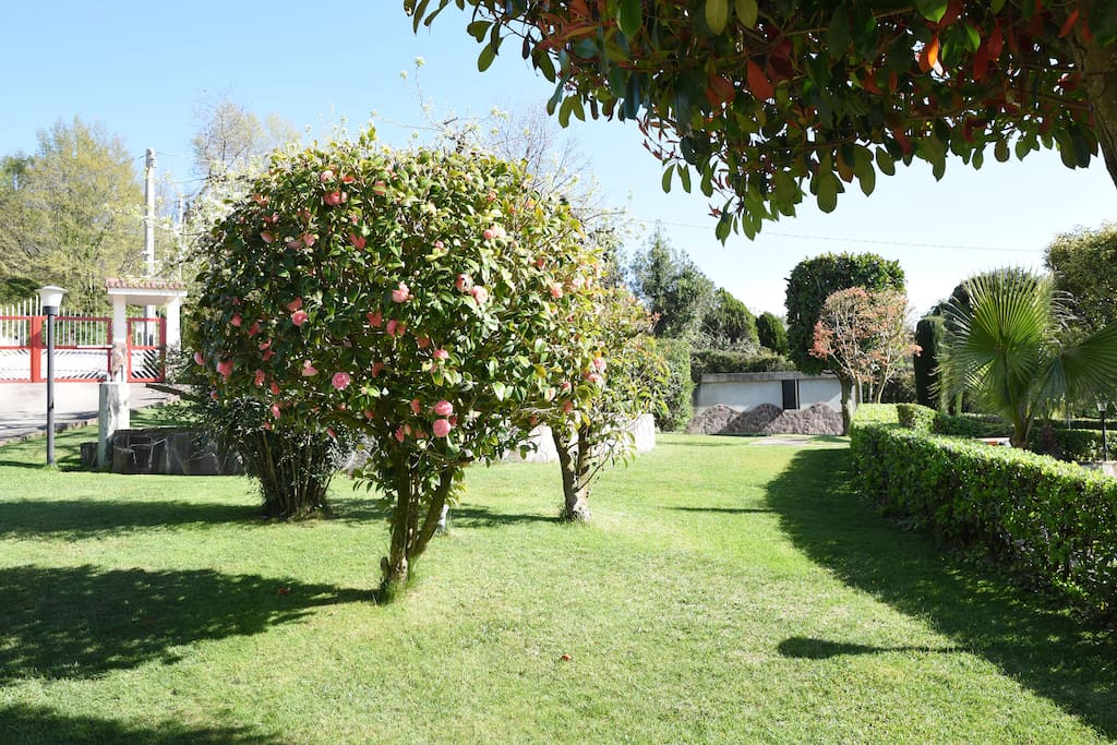 giardino