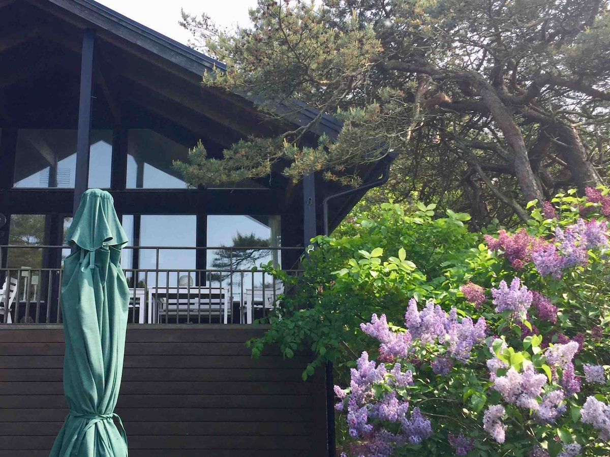 The exterior of a home is framed by lush greenery and blooming lilacs in shades of purple. A shaded outdoor area is visible, featuring a green umbrella. Large windows reflect light, indicating an inviting indoor space that connects with the surrounding nature.