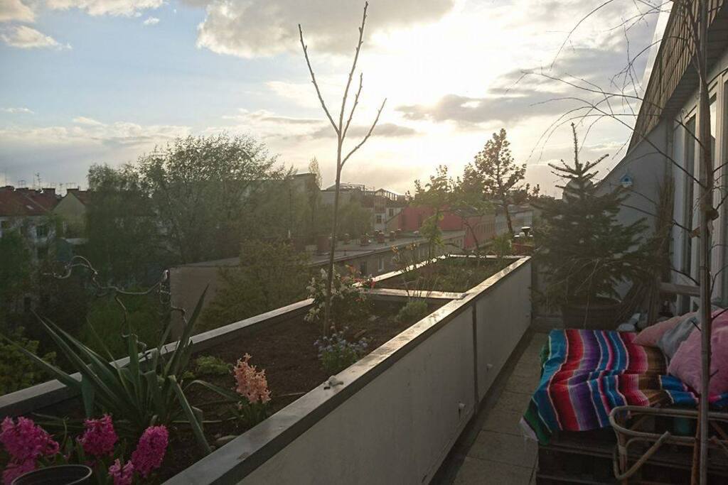 Balcony (direct access from your room and my room)