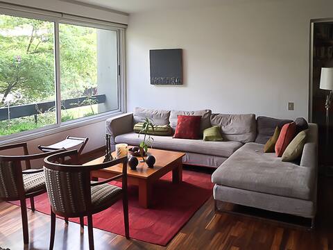 Suite ejecutiva - Altamira