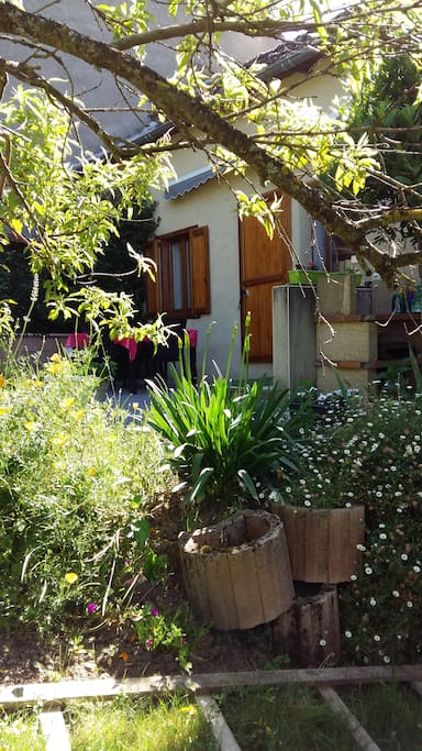 Jardin fleurie