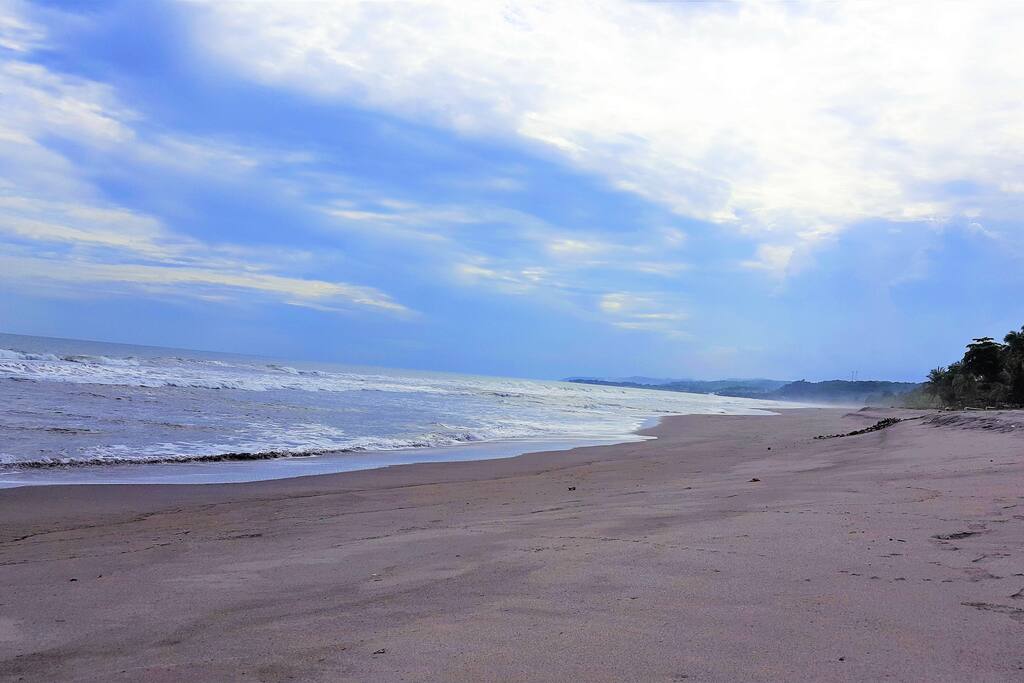 San Diego's Beach, 4 miles of perfect sandy beach, a lovely place to practice all kind of sports and family activities (
Playa San Diego, 4 millas de playa arenosa perfecta, un lugar encantador para practicar todo tipo de deportes y actividades familiares).